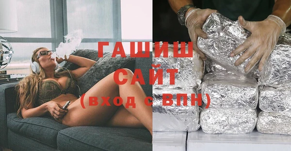 хмурый Алексин
