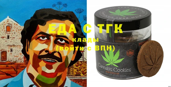 хмурый Алексин