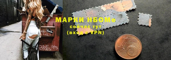 хмурый Алексин