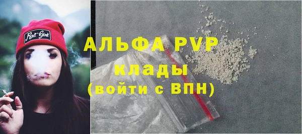 хмурый Алексин