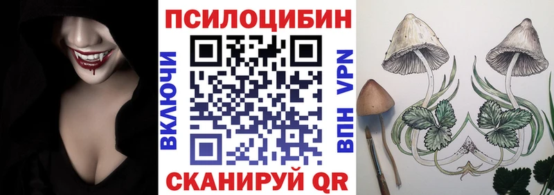 Псилоцибиновые грибы мицелий  купить наркоту  Уссурийск 